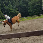 Unsere Ponies sind immer, wirklich immer, gelassen und entspannt ;-)!!