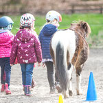 Ponyvorschule - auch Führen will gelernt sein!