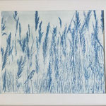 Isabelle PUEYO, " le souffle du silence", Cyanotype, alchimie de sels de fer sur papier aquarelle,60 x 40 cm, 800€,DISPONIBLE A L'EMPRUNT