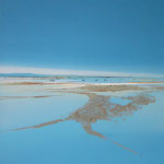 MUCHE, "Rivage n°62 GF", Acrylique sur toile, 50x61 cm, 450 €,EMPRUNTEE ACTUELLEMENT