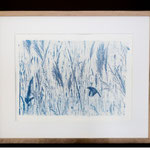 Isabelle PUEYO, " solitaire", Cyanotype, alchimie de sels de fer sur papier aquarelle,60 x 40 cm, 800€
