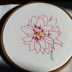 le dahlia niv.1