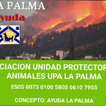 spenden-donaciones-volcan-la-palma-upa-tierschutzorganisation