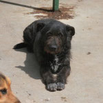 Lothar