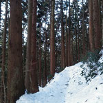 登山道