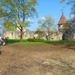 Ruine am Hohenberg.