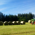 Bei der Arbeit .... 