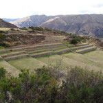 Tipon, Inka-Terrassen für Landwirtschaft