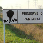 Schützt das Pantanal