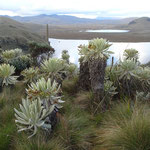 Lagune im El Angel-Nationalpark 