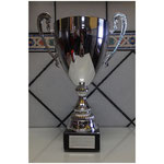 2012 Septiembre - CAMPEÓN - VIII Trofeo Fútbol Veteranos Virgen de la Estrella