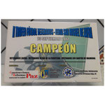 2012 Septiembre - CAMPEÓN - II Trofeo Fútbol Veteranos Feria San Miguel Zafra