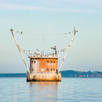 Foto: NABU Insel Usedom / Jana Freitag