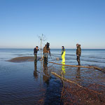 Foto: NABU Insel Usedom