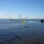 Foto: NABU Insel Usedom / Carsten Freitag