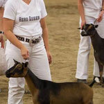 DAM'S DAM: GCH DILL'S XM KEENA 4*M (92 EEEE)