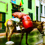 Colombia - Bogota' il mulo