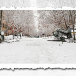 Cartolina da Roma sotto la neve