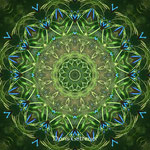 29 Doris Getreuer Mandala