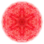 Doris Getreuer Mandala