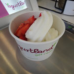 Frozen Yoghurt with fruit - loooove it!