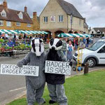 Sad Badger in  in Deddington