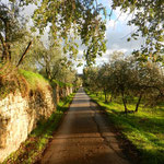 La strad di accesso al paese
