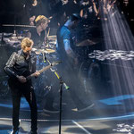 Peter: MUSE Live at "LANXESS arena" / Cologne