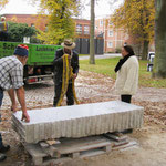 Transport zum Aufstellungsort (Foto S+D)