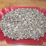 Rohkaffeeprobe Marcala