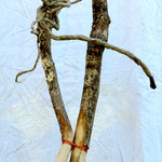 DETAIL DE "NU D'ARBRE 2" SCULPTURE SUR BOIS ET CUIVRE  H. 130 2019 Philmari ROJOUAN Artiste peintre Nantes