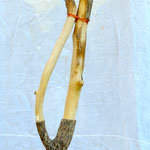 "NU D'ARBRE 2" SCULPTURE SUR BOIS ET CUIVRE  H. 130 2019 Philmari ROJOUAN Artiste peintre Nantes