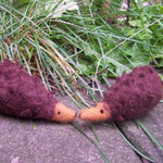 Igel
