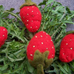 Erdbeeren