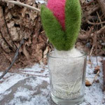 kleine Hyazinthe im Glas