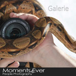 Galerie Moments4ever
