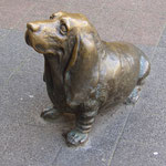 Son chien