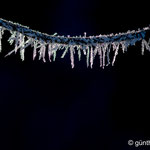 Erster Frost
