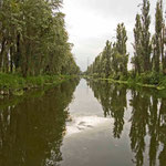 Xochimilco, DF