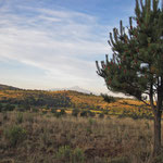 Hacienda Tenexac, Tlaxcala.