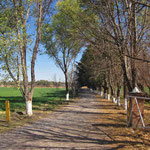 Rancho La Esmeralda, Gto