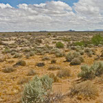 Reserva de la Biósfera El Pinacate, Desierto de Sonora.