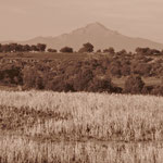 Hacienda Tenexac, Tlaxcala.