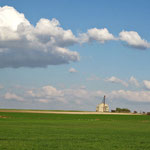 Campo de Alfalfa, Gto