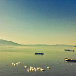 Chapala, Jal