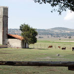 Hacienda Tenexac, Tlaxcala.