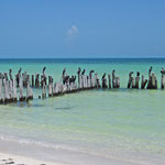 Holbox