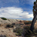 Guerrero Negro, BCS