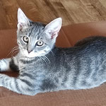 Silky ist in die schöne Vorderpfalz verzogen.