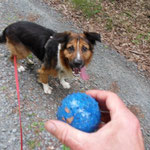 ist der Ball